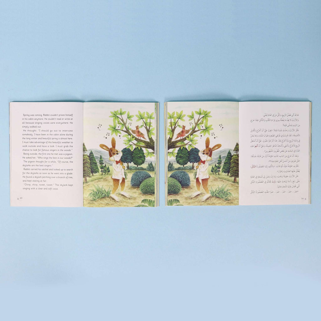 سلسلة الأرنب الكاتب: البحث عن مطرب